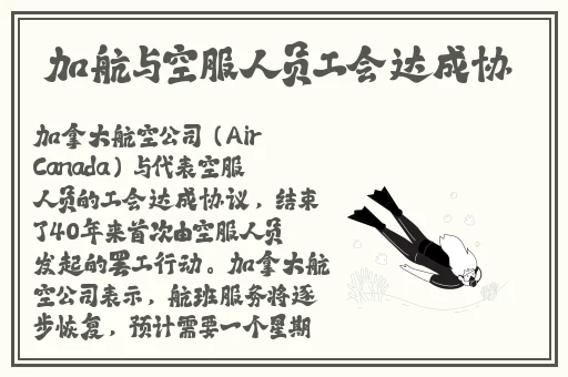 年龄18确认点此进入